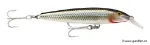 Silver Shiner (SSH)