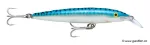 Silver Macekerel (SM)