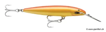 Rapala Leurre de pêche