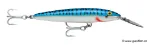 Silver Macekerel (SM)