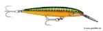 Green Mackerel (GM)