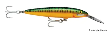 Rapala Leurre de pêche