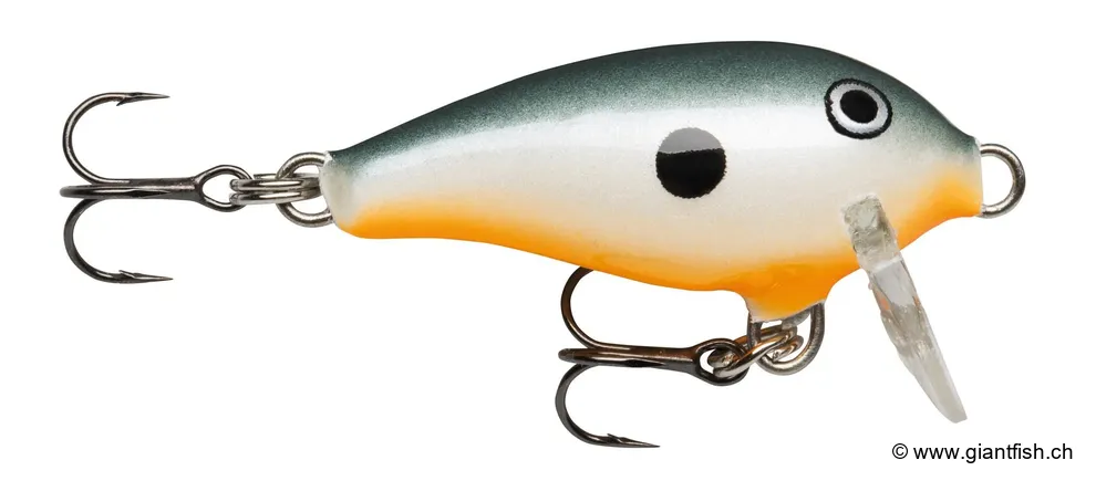 Orange Shad (ORSD)