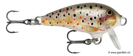 Rapala Leurre de pêche