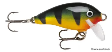 Rapala Leurre de pêche