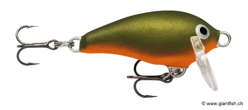 Rapala Leurre de pêche