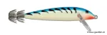 Glow Blue Tiger (GBT)