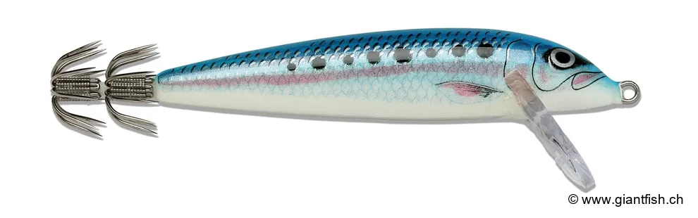 Blue Sardine (BSR)