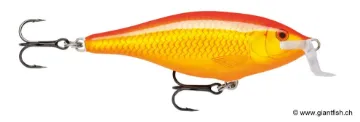 Rapala Leurre de pêche Shallow Shad Rap