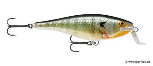 Rapala Leurre de pêche Super Shad Rap