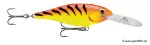 Hot Tiger (HT)