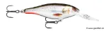 Live Hologram Roach (ROHL)