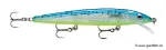 Glass Blue Minnow (GBM)
