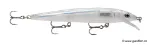 Glass Minnow (GMN)