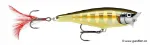 Striped Grey Shiner (STGS)