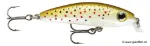 Brown Trout (TR)