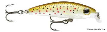 Rapala ULM Leurre de pêche