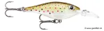Brown Trout (TR)
