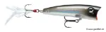 Pearl Grey Shiner (PGS)
