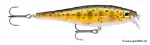 Brown Trout (TR)