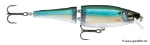 Blue Back Herring (BBH)
