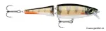 Redfin Perch (RFP)