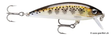 Rapala X-Rap Countdown