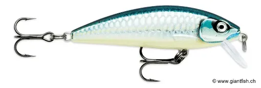 Rapala X-Rap Countdown