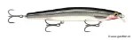 Live Baby Sea Bass (BSBL)