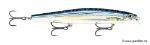 Live Blue Mackerel (SBML)