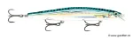 Live Green Mackerel (SGML)
