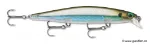 Moss Back Shiner (MBS)