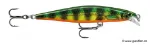 Fire Tiger Perch (FTPE)