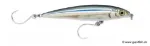 Anchovy (ANC)