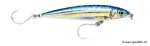 Blue Mackerel (BM)