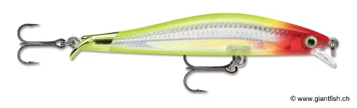 Rapala Leurre de pêche