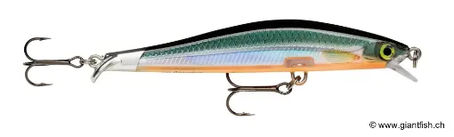 Rapala Leurre de pêche