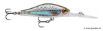 Live Roach (ROL)
