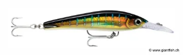 Rapala XRMAGXT160