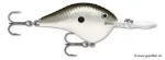 Pearl Grey Shiner (PGS)