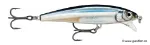 Anchovy (ANC)