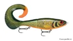 Scaled Roach (SCRR)