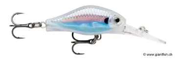 Rapala SDRFJ04