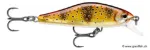 Mediterranean Trout (MTR)
