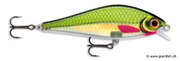 Rapala SSDR11