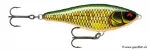 Scaled Roach (SCRR)