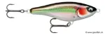 Yellow Shiner (YSH)