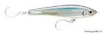Anchovy (ANC)