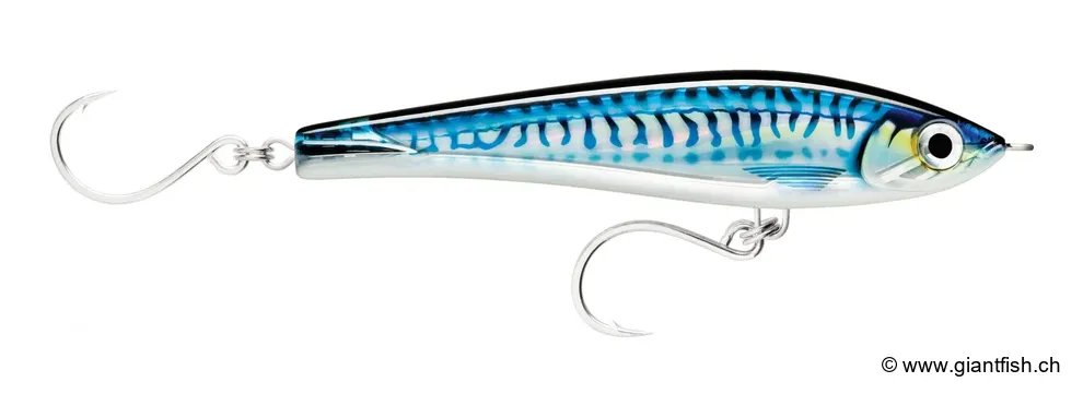 HD Silver Blue Mackerel (HDSBM)