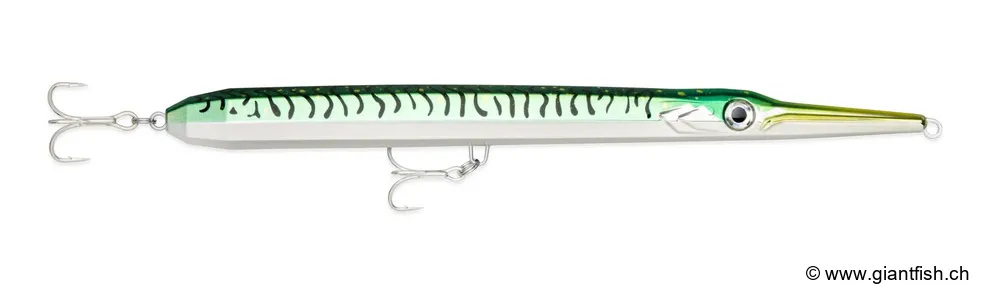 Green Mackerel (GM)